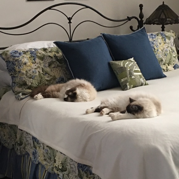 Happiness - Picture 3 of 8